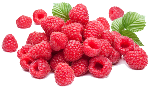 Raspberry Photos PNG Image