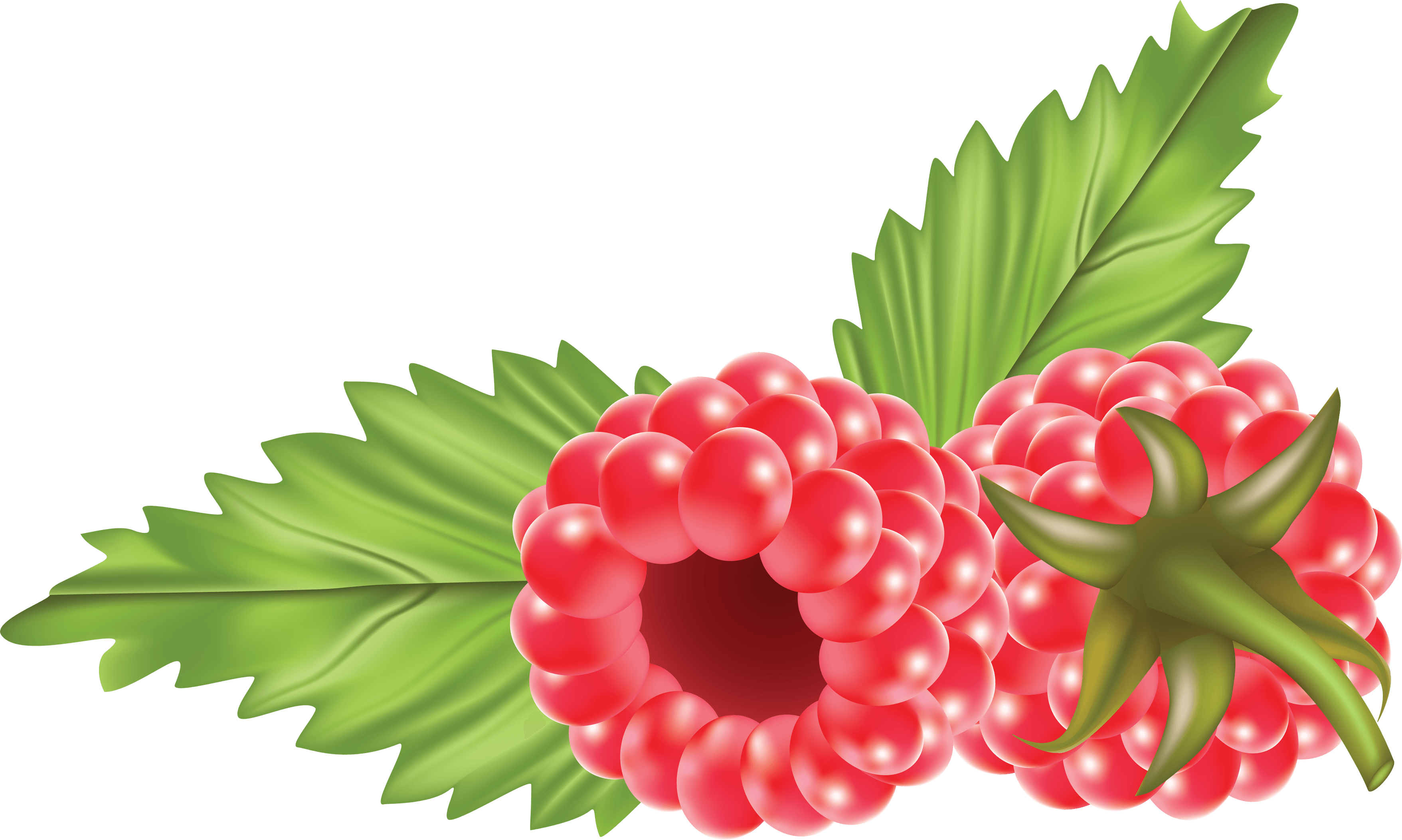 Rraspberry Png Image PNG Image