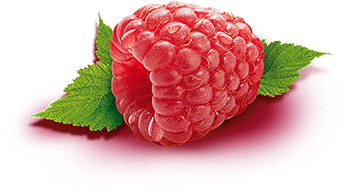 Rraspberry Png Image PNG Image