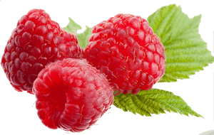 Rraspberry Png Image PNG Image