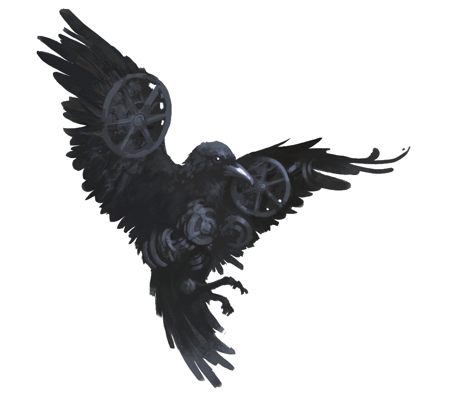 Raven HD Image Free PNG Image