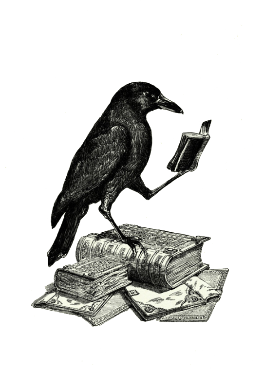 Raven Free Download Image PNG Image