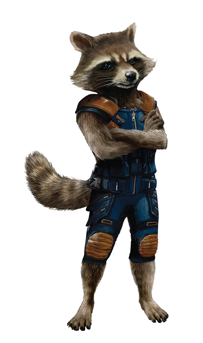 Raccoon Cartoon Rocket Free HD Image PNG Image