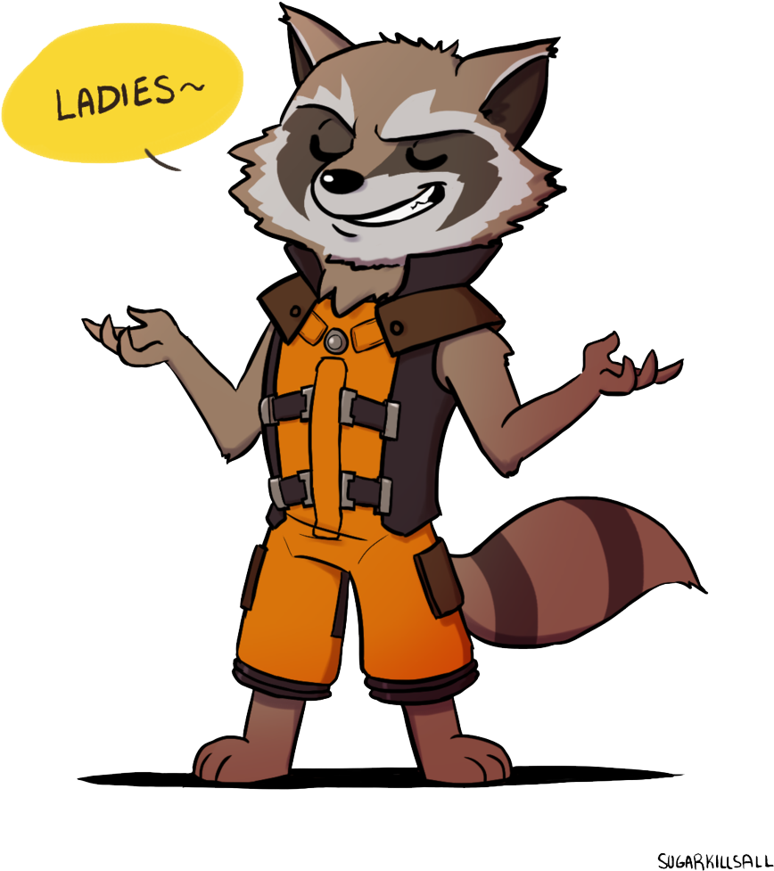 Raccoon Cartoon Rocket Free Download Image PNG Image