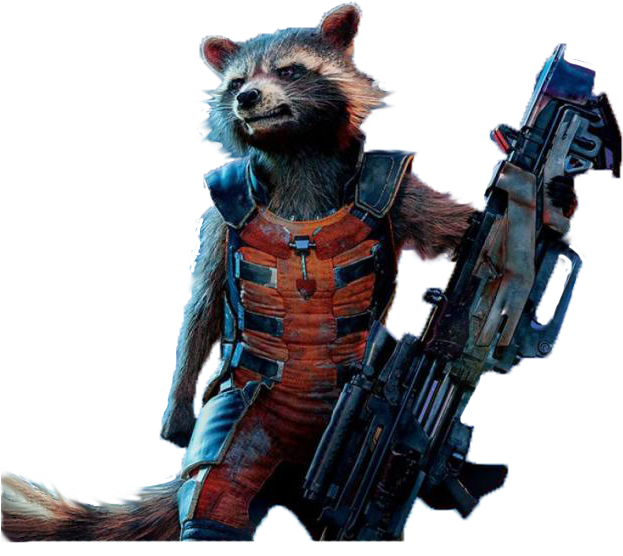 Raccoon Guardian Pic Rocket HQ Image Free PNG Image