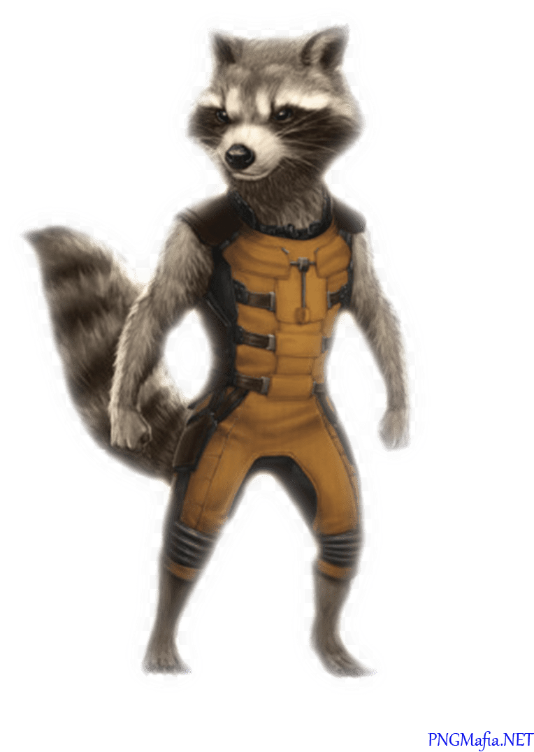 Raccoon Guardian Rocket PNG Free Photo PNG Image