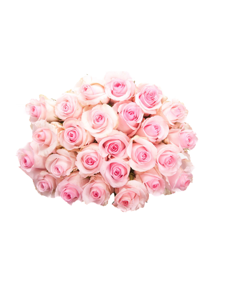 Pink Light Flower Bunch Rose PNG Image