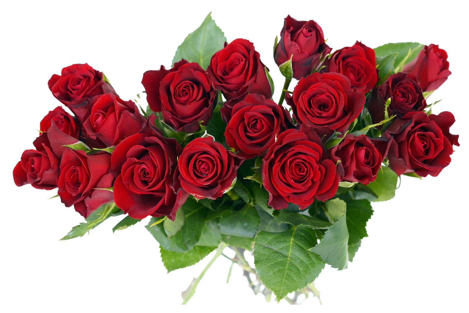 Bouquet Fresh Rose Free Transparent Image HQ PNG Image