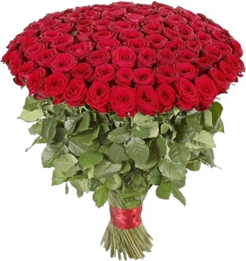 Bouquet Rose Red HD Image Free PNG Image