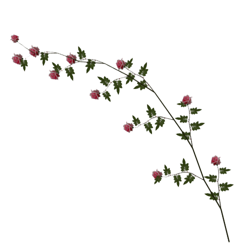 Rose Vine Image PNG Image