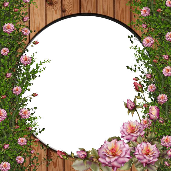 Rose Vine PNG Image