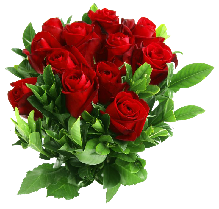 Red Rose Clipart PNG Image