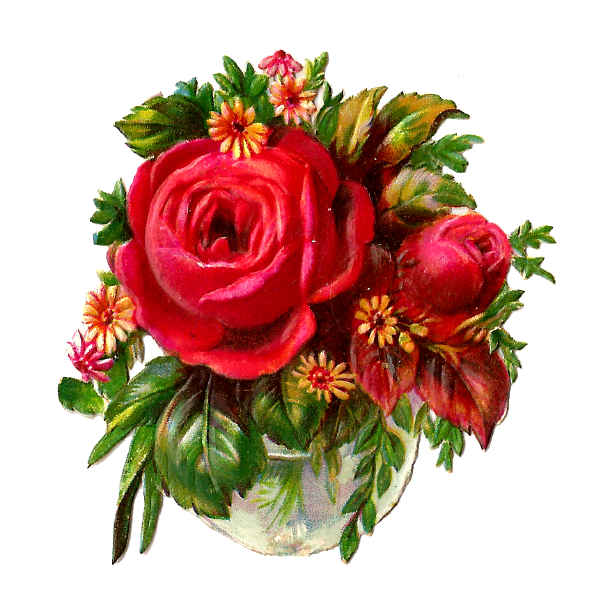 Red Rose PNG Image