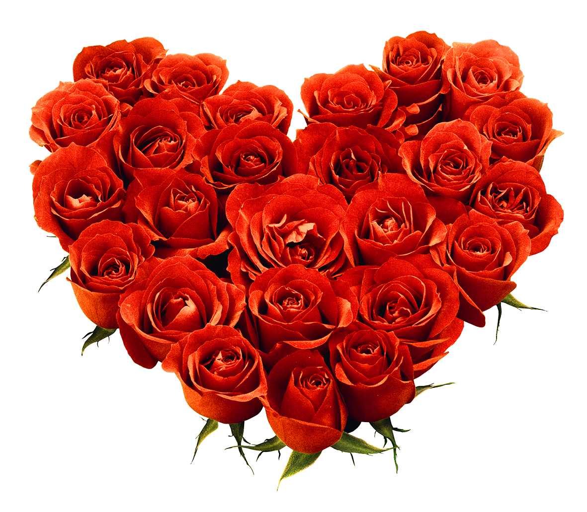 Rose Bunch Transparent PNG Image