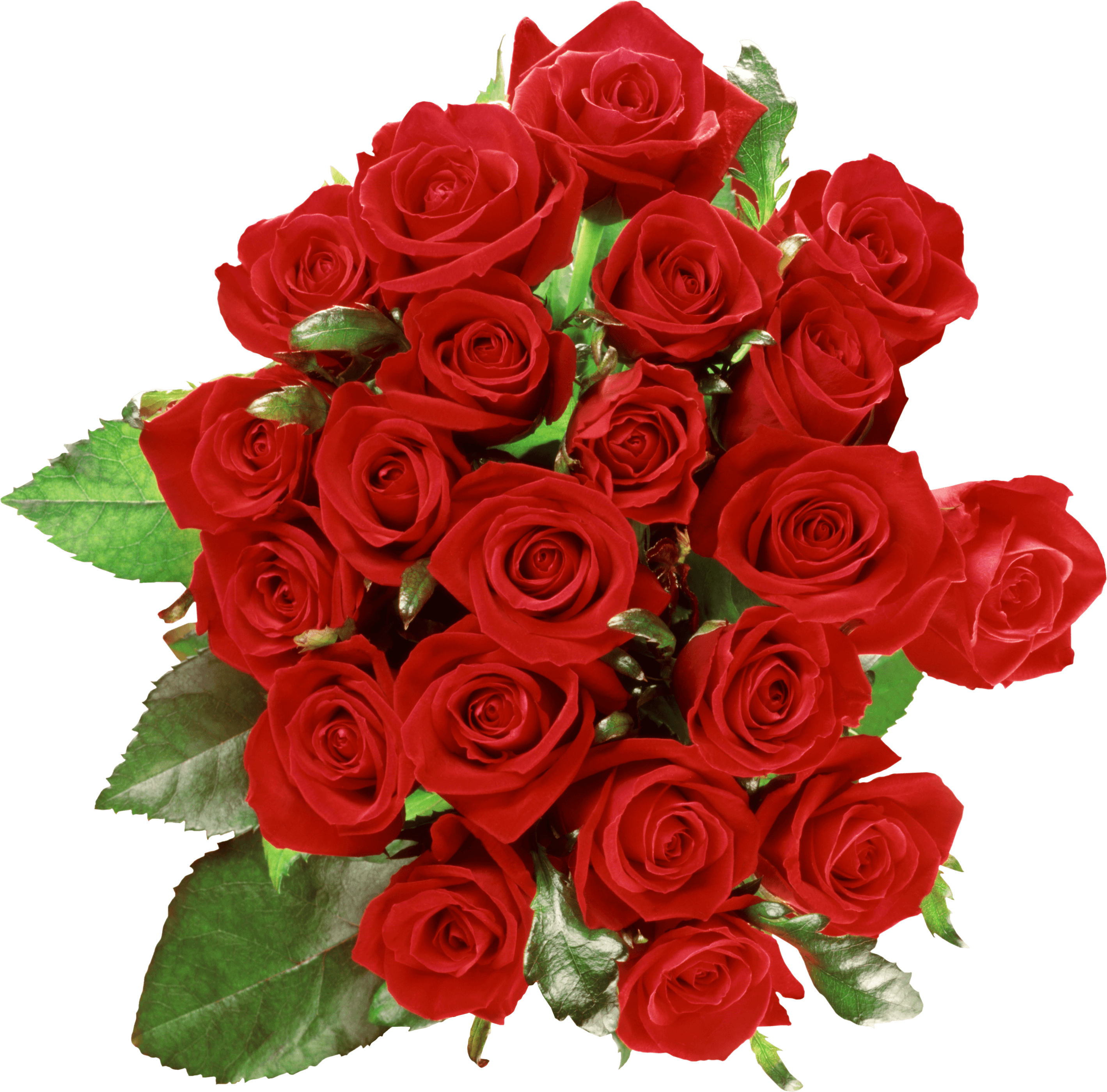 Bouquet Of Roses Png Image Picture Download PNG Image