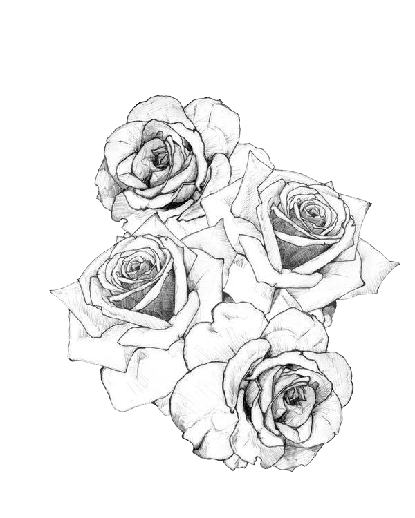 Tattoo Flash Rose Artist HQ Image Free PNG PNG Image