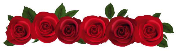 Rose Png Image PNG Image