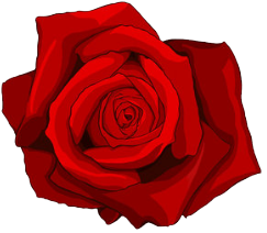 Rose Tattoo Free Download Png PNG Image