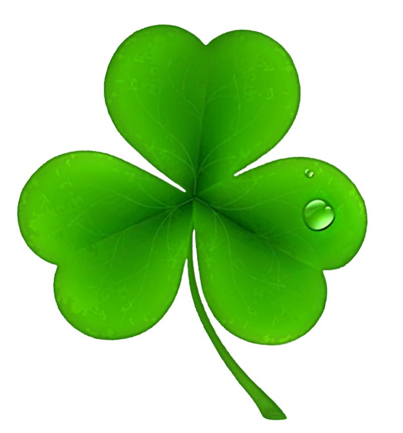 Shamrockfest Leaf Petal National Ireland Holiday Public PNG Image