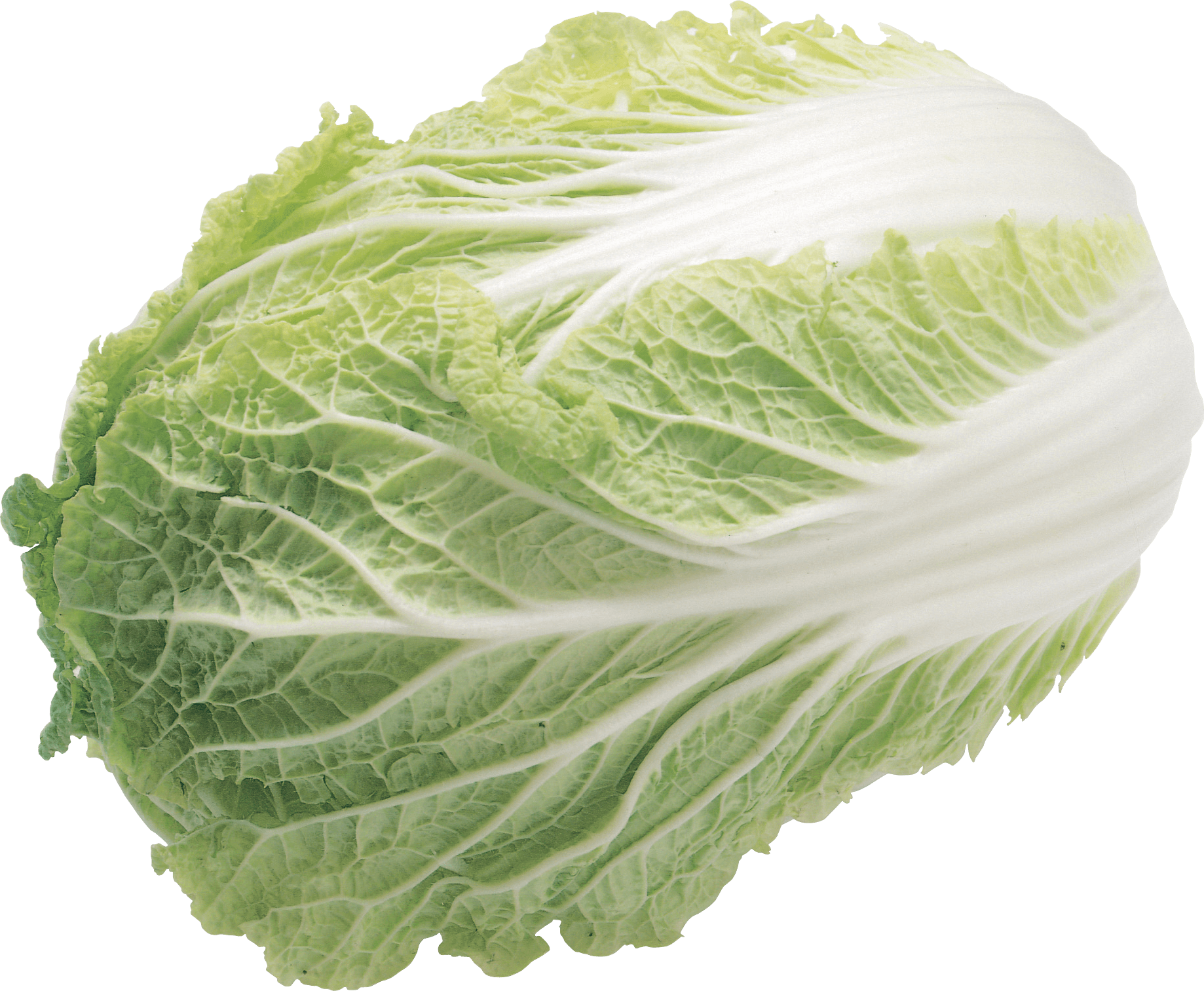 Salad Png Image PNG Image