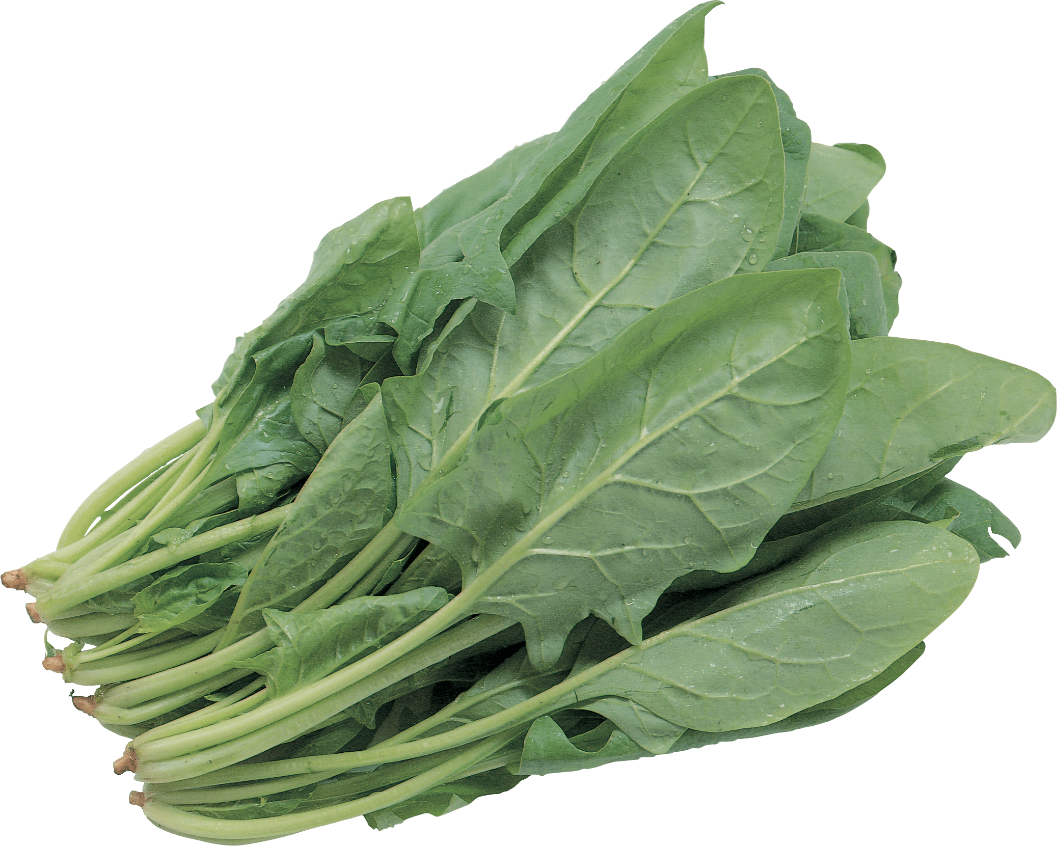 Salad Png Image PNG Image