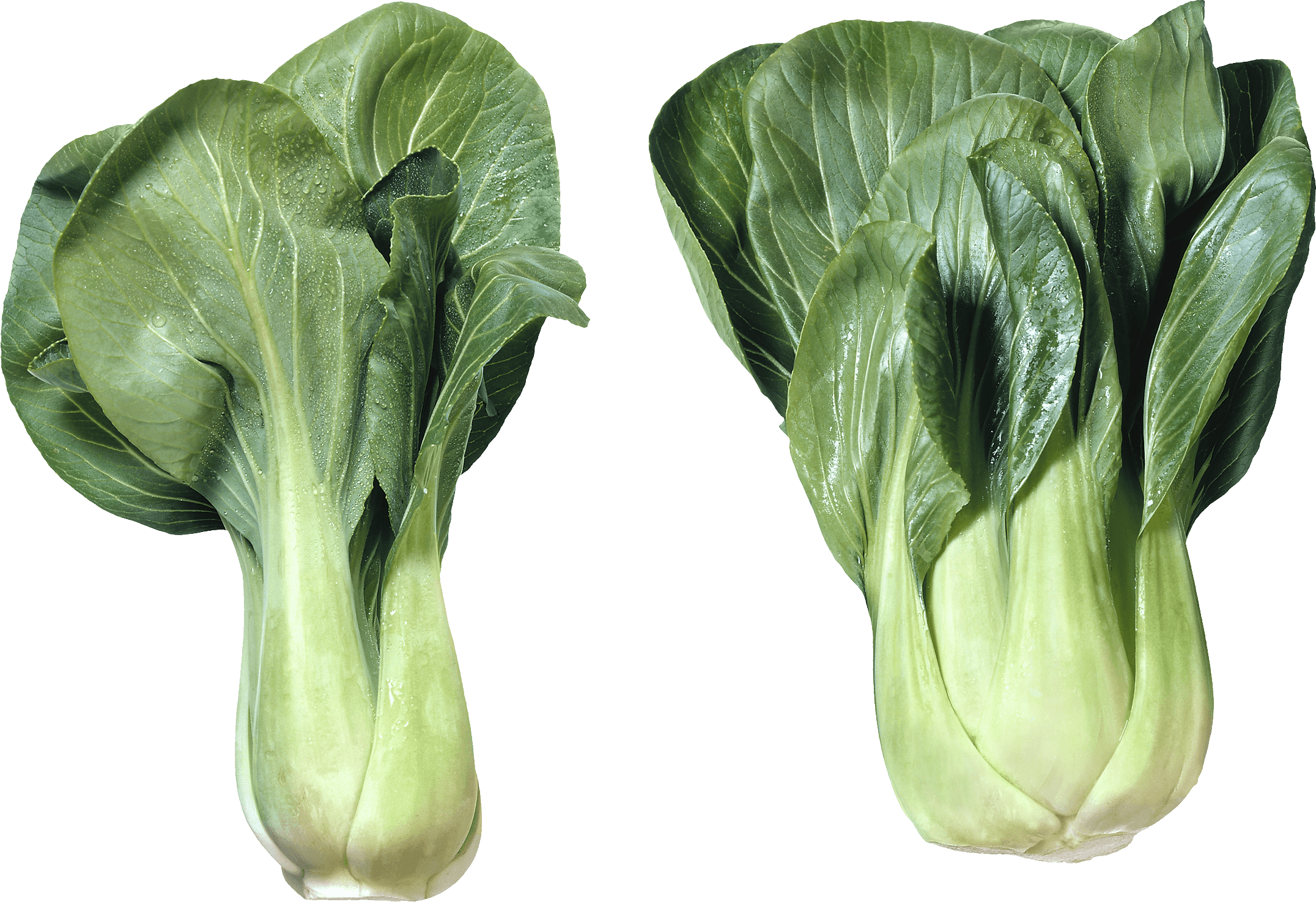 Salad Png Image PNG Image