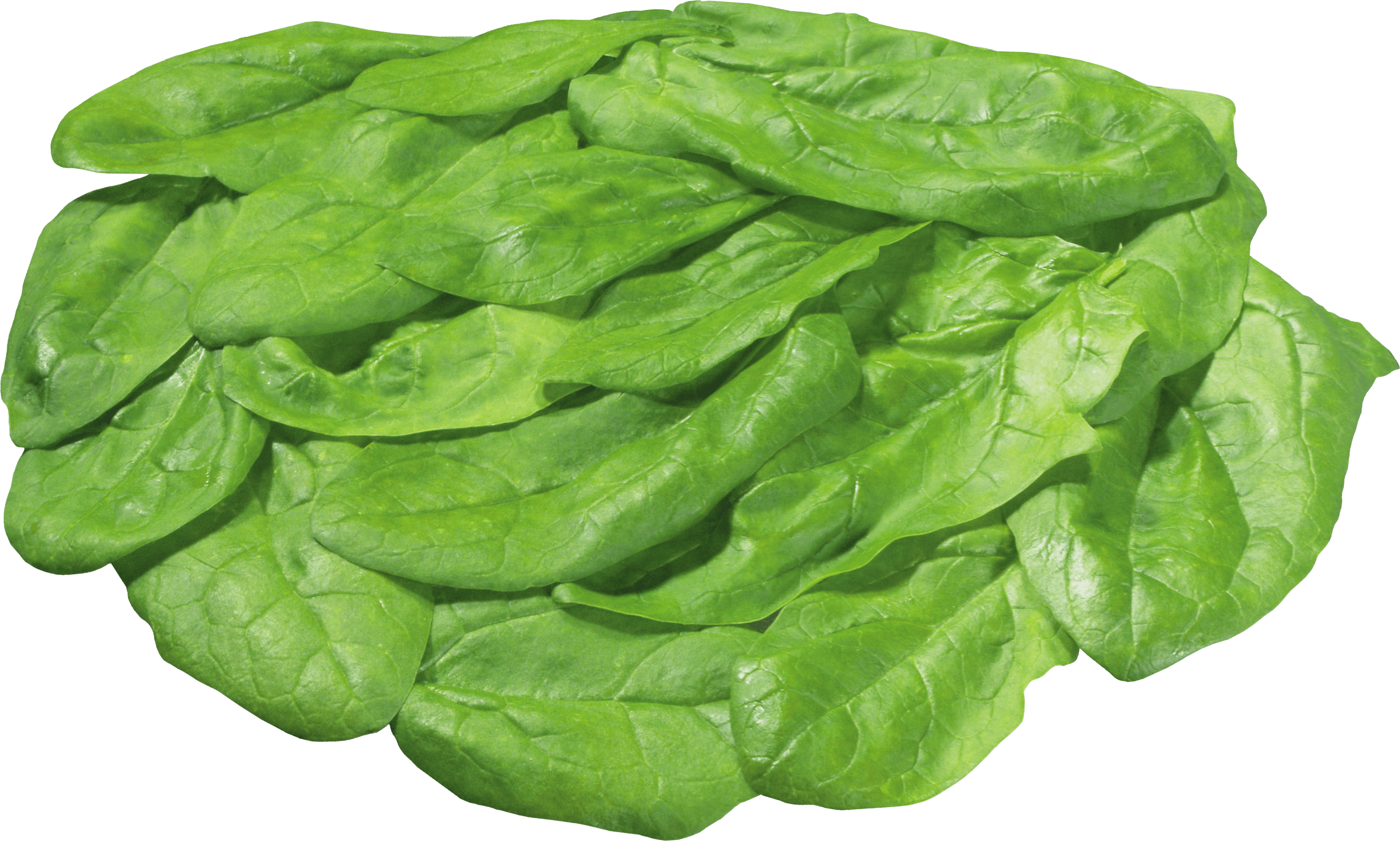 Green Salad Png Image PNG Image