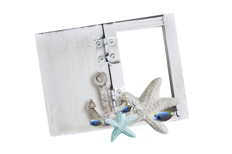 Picture Flower Frame Ocean Sea Wind PNG Image