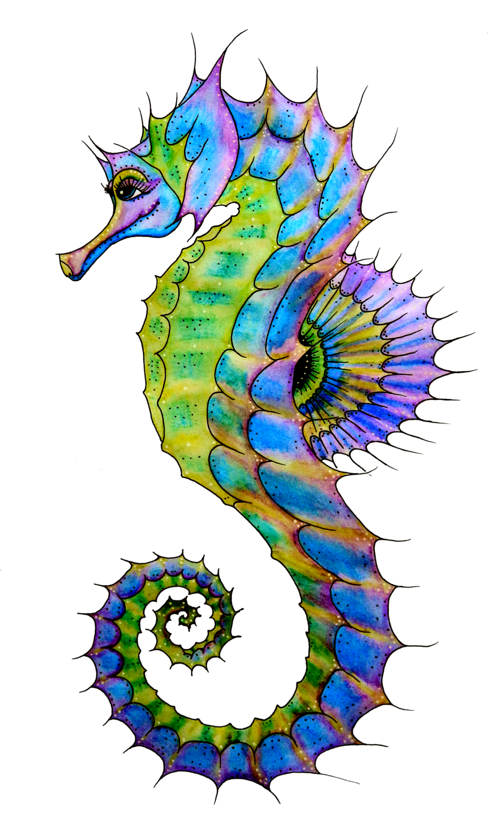 Seahorse Png Hd PNG Image