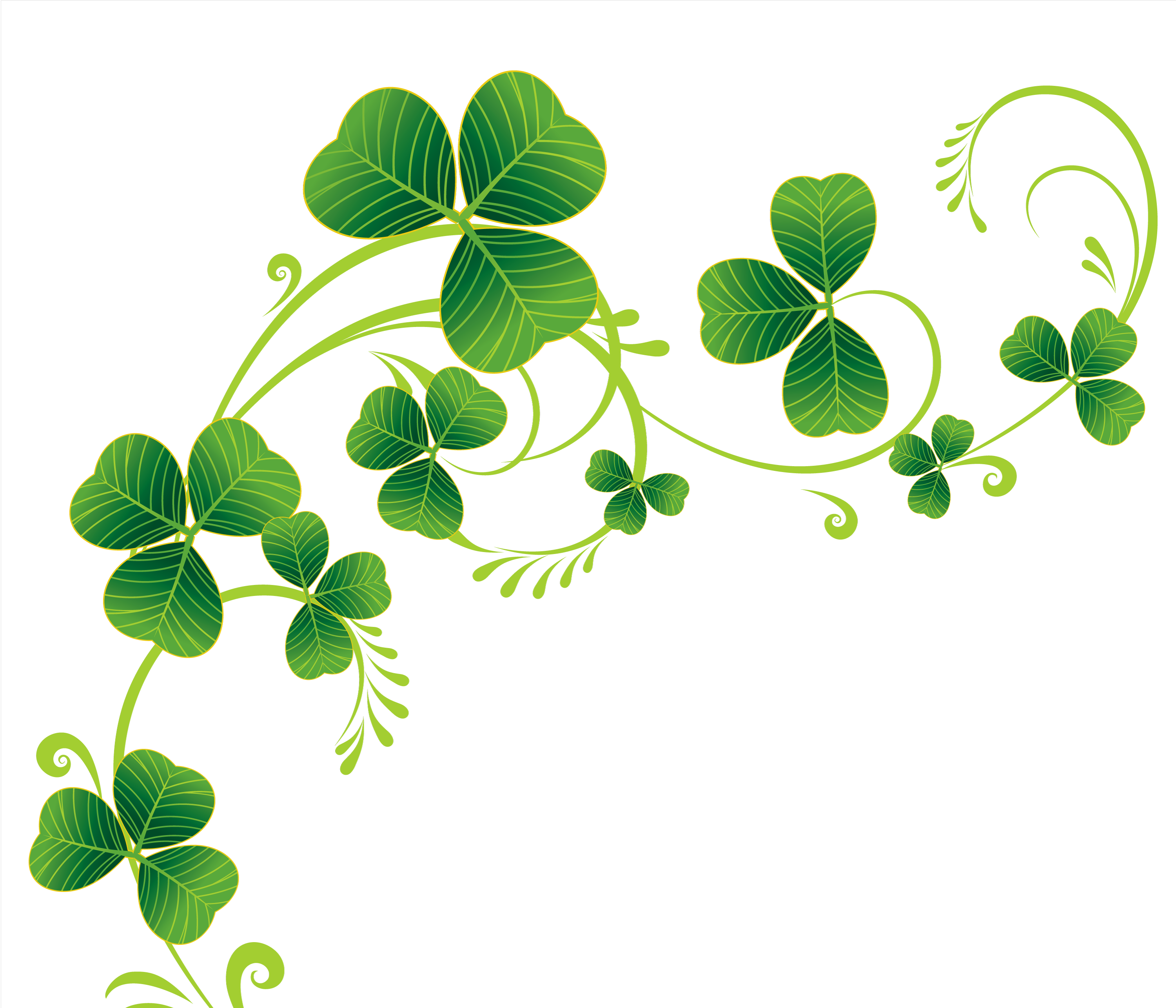 Plant Flora Ireland Patrick Shamrock Saint Day PNG Image