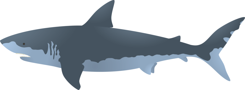 Big Shark Megalodon Free Clipart HD PNG Image