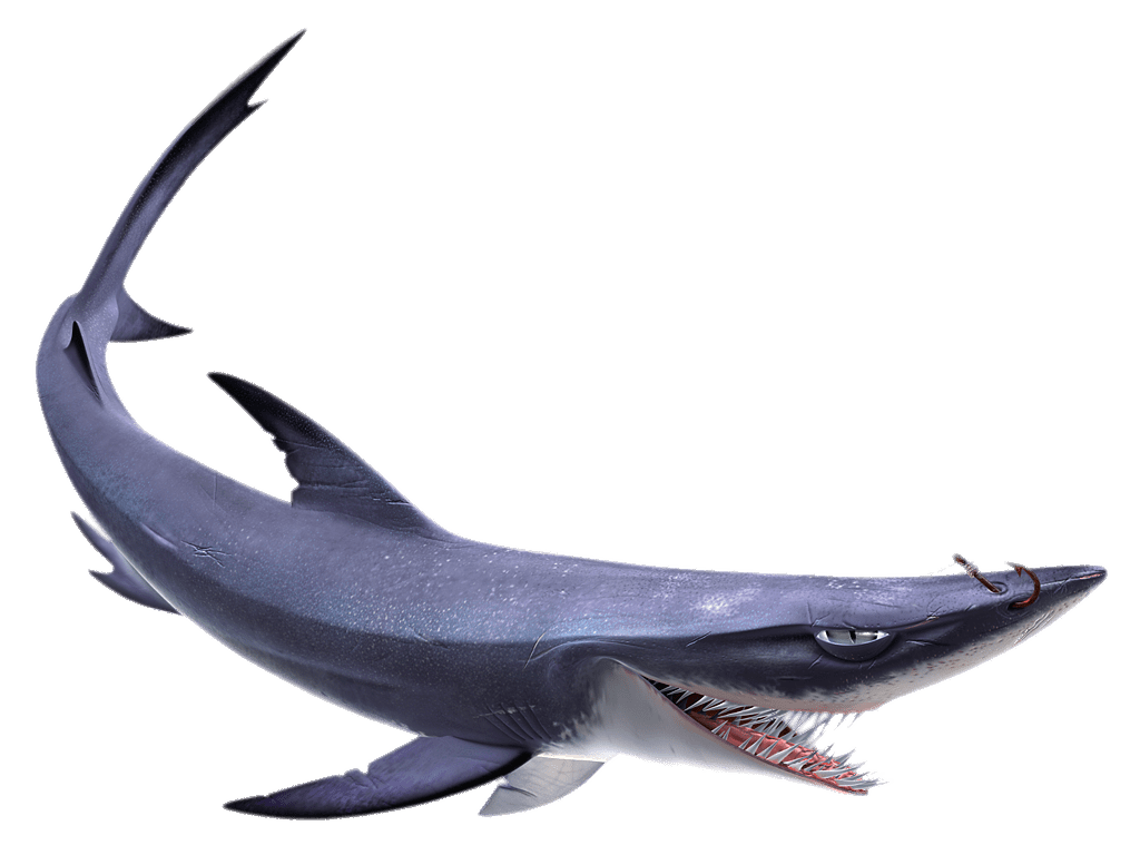 Blue Shark Nemo Pic HQ Image Free PNG Image