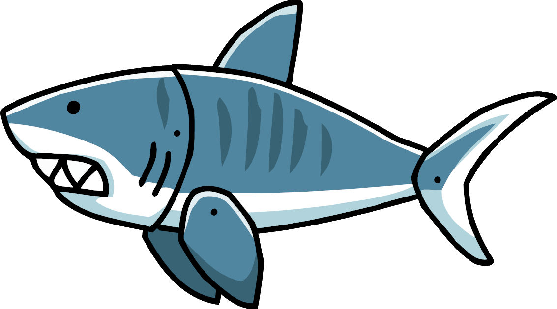 Blue Real Shark Free HQ Image PNG Image