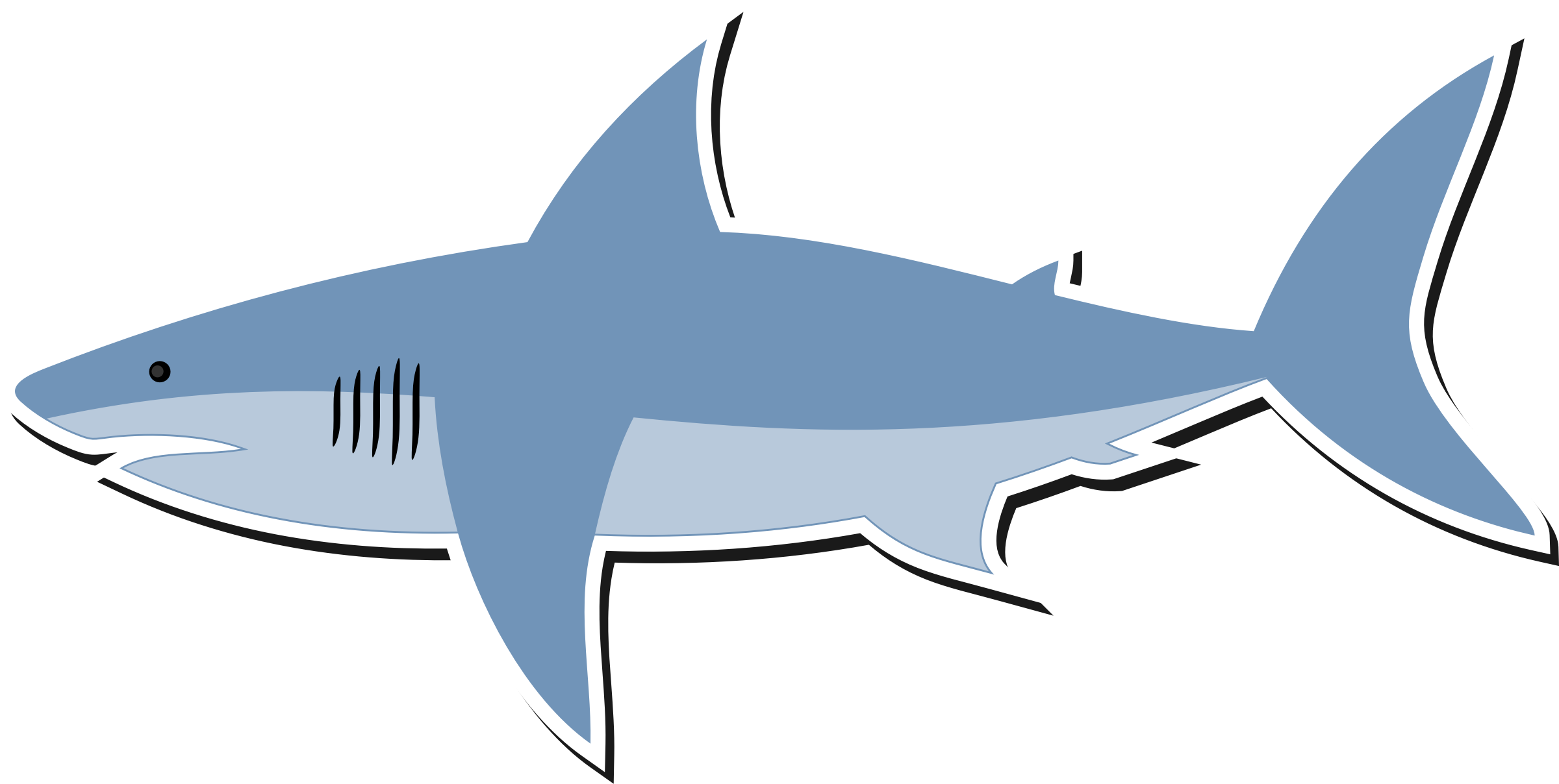 Real Photos Shark Free Download PNG HQ PNG Image