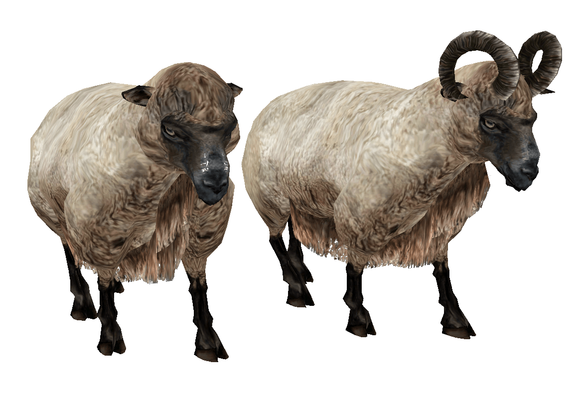 Sheep Png Image PNG Image