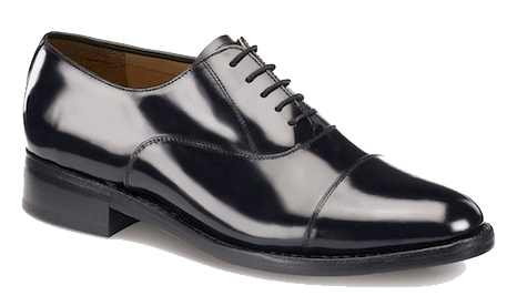 Black Shoe Image PNG Image