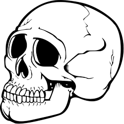 Skull Png Image PNG Image