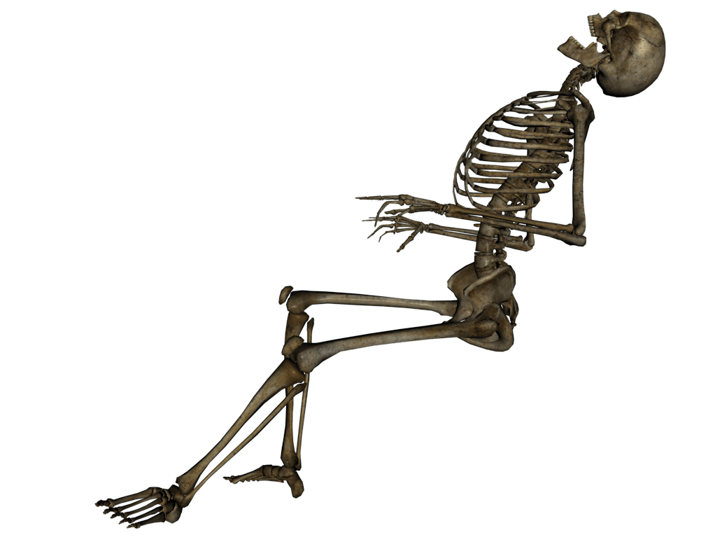 Skeleton Png Image PNG Image