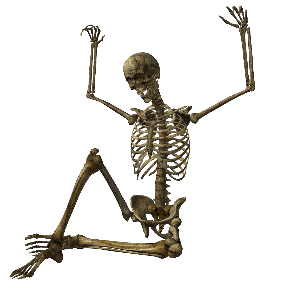 Skeleton Png Image PNG Image