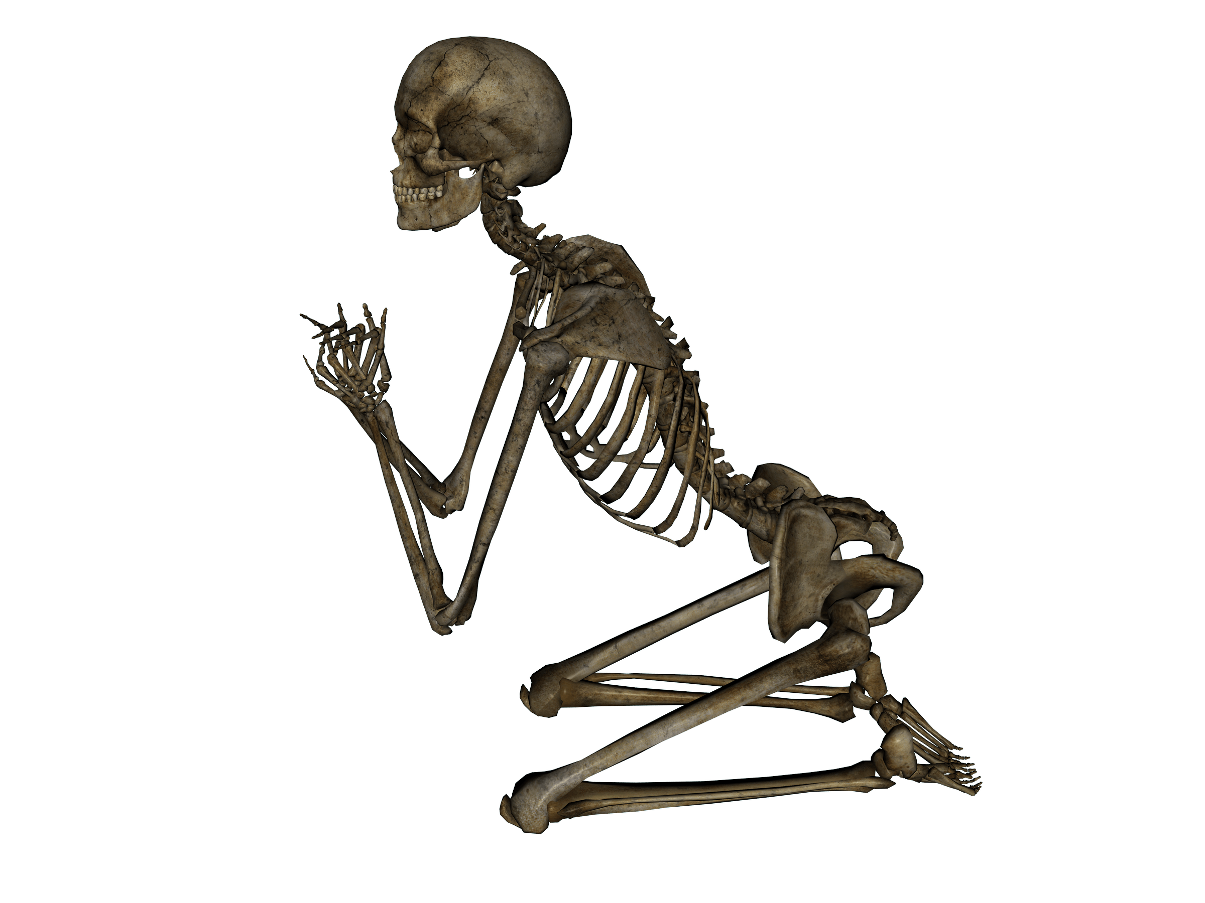 Skeleton Png Image PNG Image