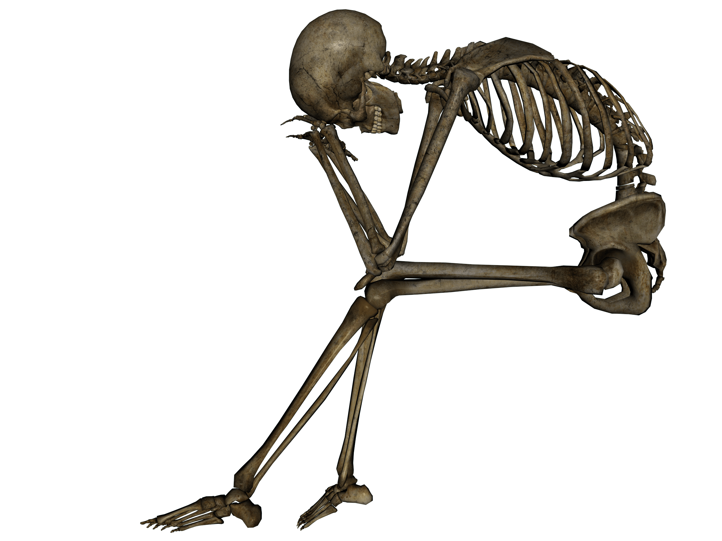 Skeleton Png Image PNG Image