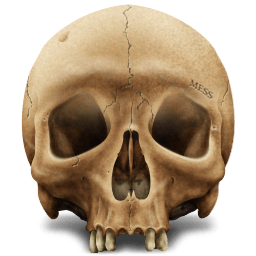 Skull Png Image PNG Image