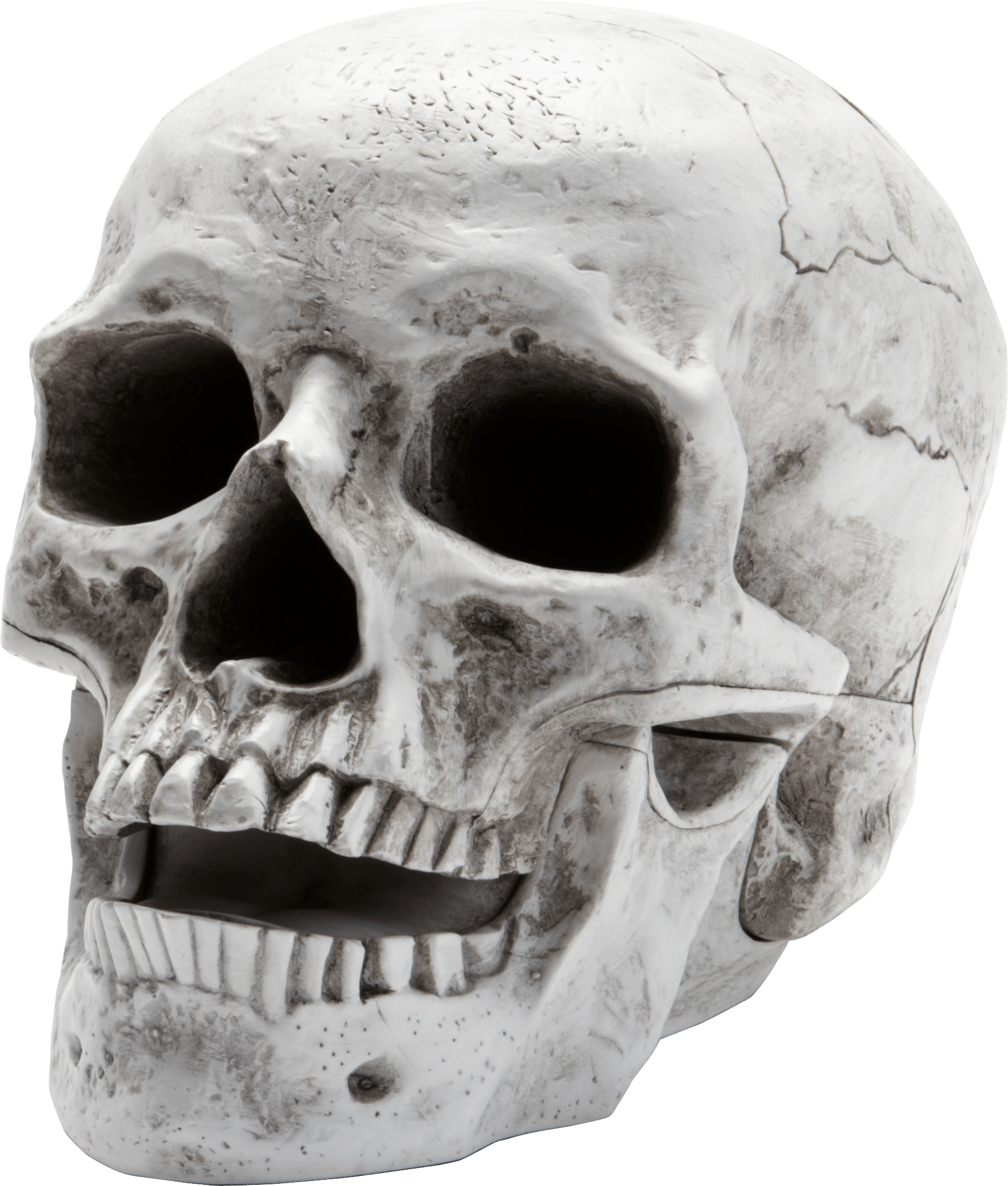 Skull Png Image PNG Image