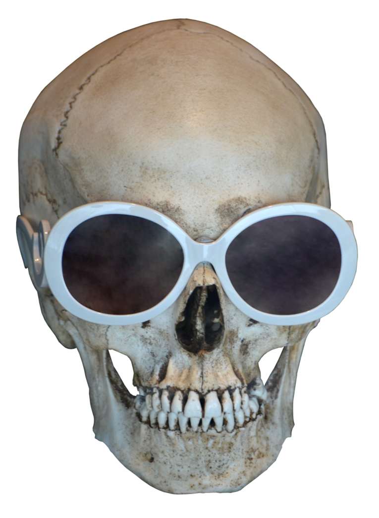 Skull Free Download Png PNG Image