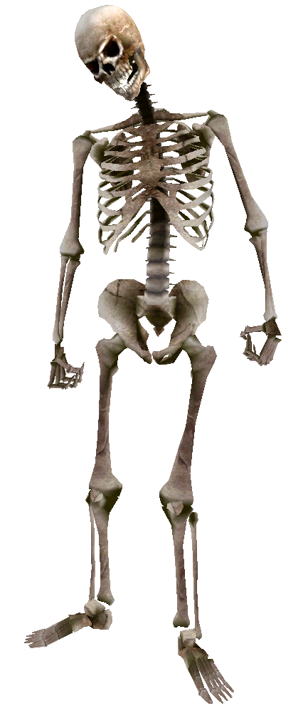 Arena Scrolls Joint Elder Oblivion Skeleton PNG Image