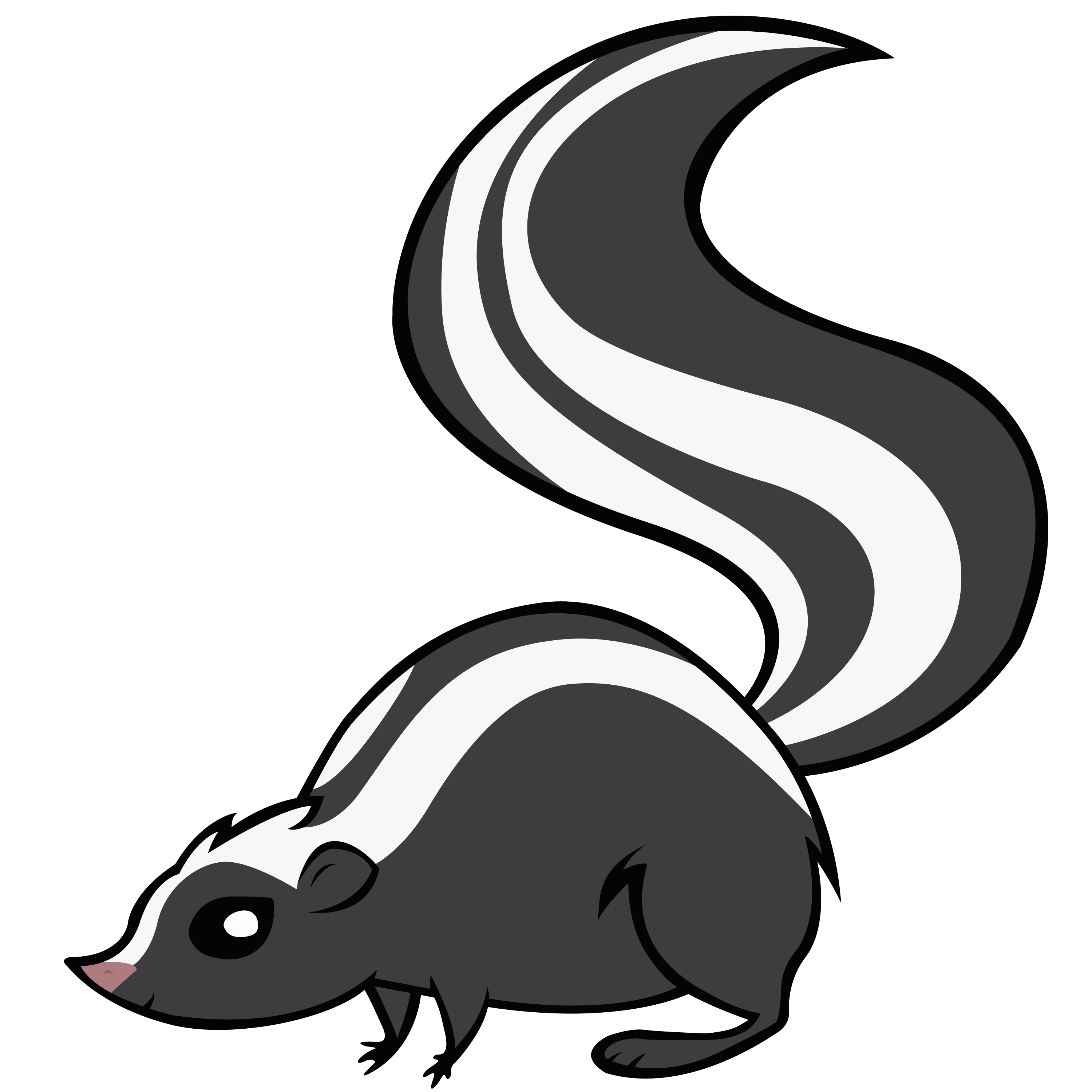 Skunk Png Clipart PNG Image