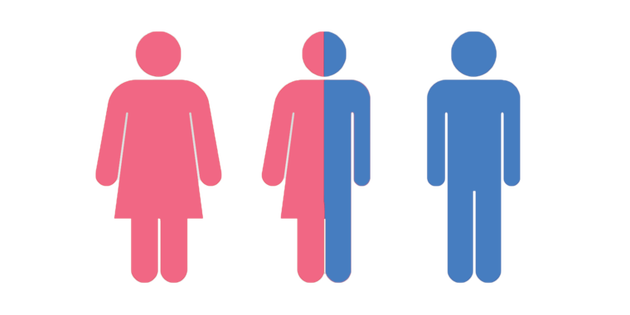 Gender Image HQ Image Free PNG PNG Image