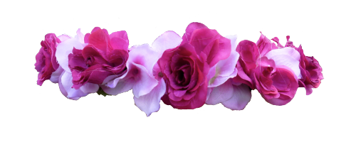 Snapchat Flower Crown Transparent PNG Image