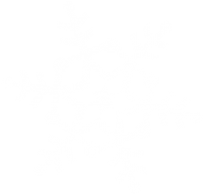 White Snowflake Png Image PNG Image