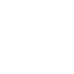 Snowflake Png Image PNG Image